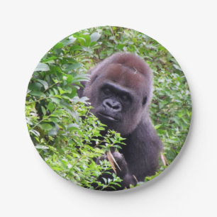 Peek-A-Boo Gorilla - Paper Plates