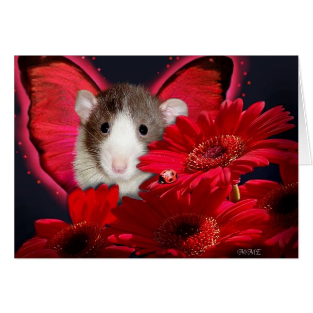 Peek-a-boo,I see you! Card (Front Horizontal)