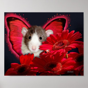 Peek-a-boo, I see you ! Poster