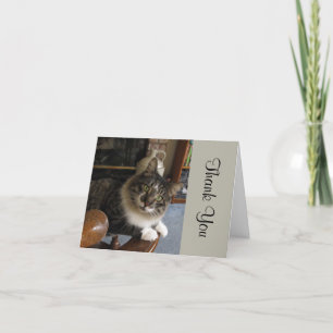 Peek-a-Boo Kitty Thank You Note Card