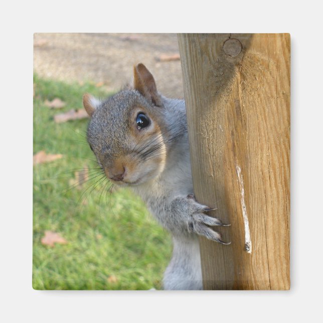 Peek-a-Boo! Magnet (Front)