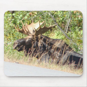 Peek-a-Boo Moose Mousepad