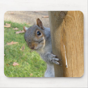 Peek-a-Boo! Mouse Mat