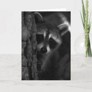 Peek-a-Boo Racoon Card