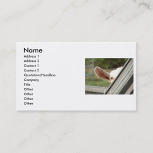 Peek a boo white goat! Cute goat waiting picture Business Card