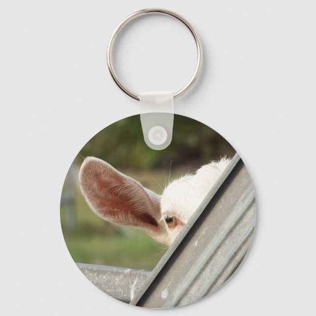 Peek a boo white goat! Cute goat waiting picture Key Ring (Front)