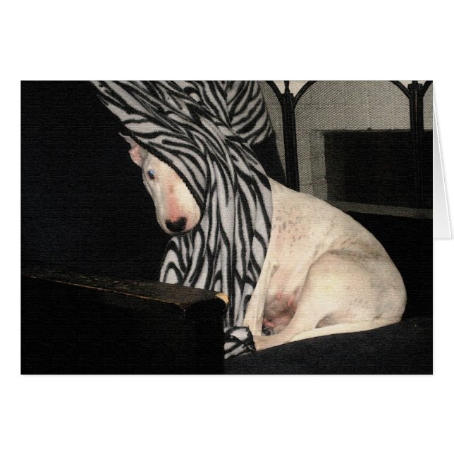 Peek-a-Bully (Front Horizontal)