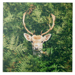 Peek a Deer  Tile