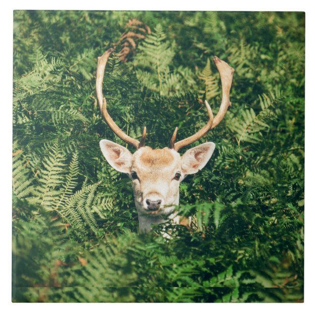 Peek a Deer  Tile (Front)