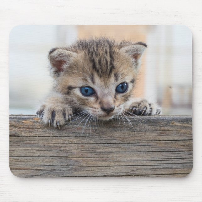 Peek-a-Purr Mouse Mat (Front)