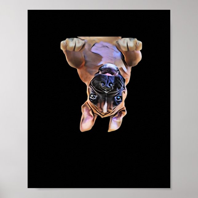 Peekaboo Boxer Poster (Front)
