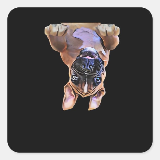 Peekaboo Boxer Square Sticker (Front)