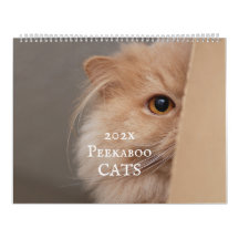 Peekaboo Cat Calendar