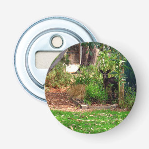 Peekaboo Kangaroo, Magnetic Bottle Opener. Bottle Opener