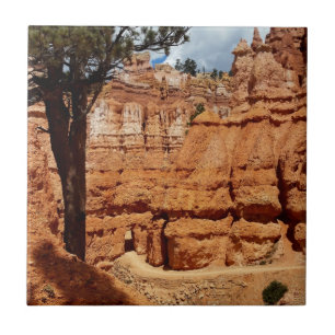 Peekaboo loop Bryce Canyon National park Utah Tile