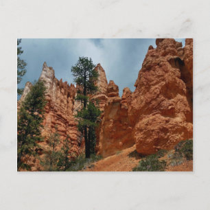 Peekaboo Loop to Bryce Point Bryce Canyon Nationa Postcard
