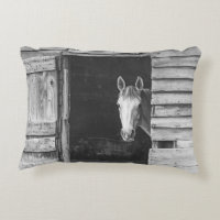 Peekaboo Mare Horse Rustic Farmhouse