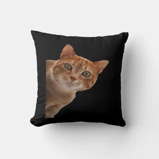 Peekaboo- Painting Cushion (Front)