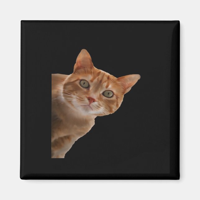 Peekaboo- Painting Magnet (Front)