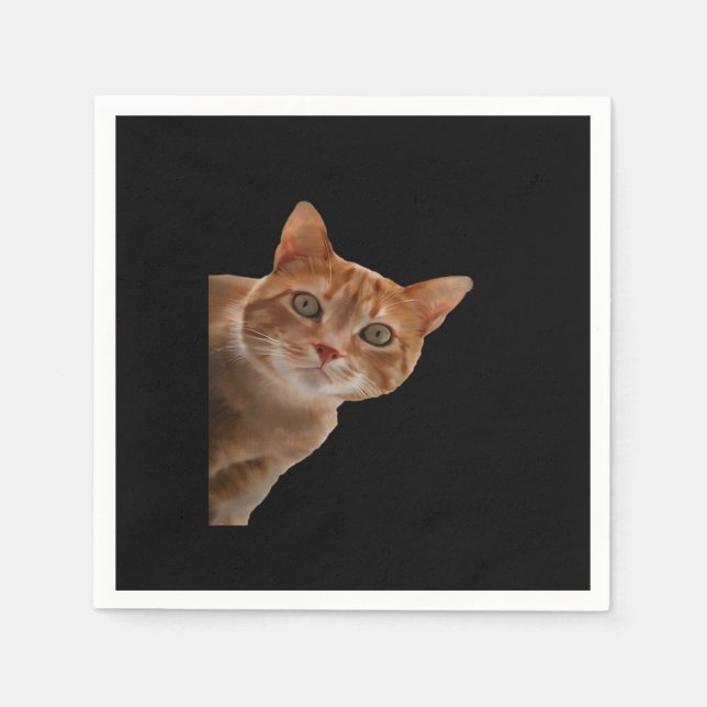 Peekaboo- Painting Napkin (Front)