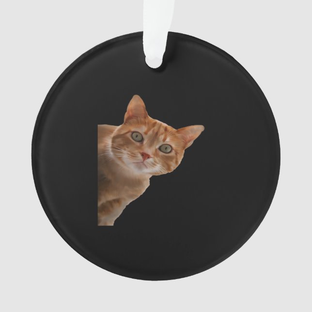 Peekaboo- Painting Ornament (Front)