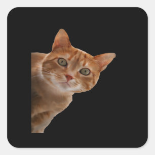 Peekaboo- Painting Square Sticker