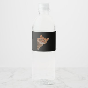 Peekaboo- Painting Water Bottle Label