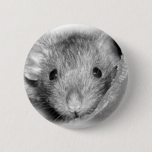 Peekaboo Rattie Button