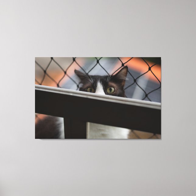 Peekaboo Tuxedo Cat Peeking Over Ledge Canvas Print (Front)