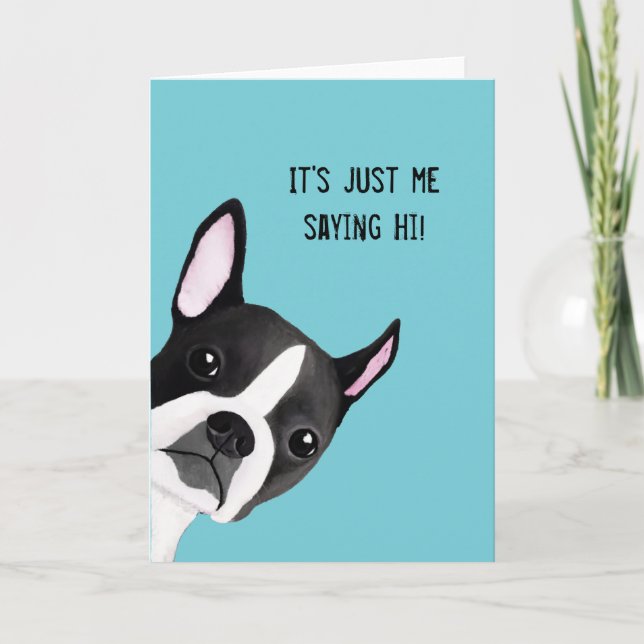 Peeking Boston Terrier Illustrated Greeting Card (Front)