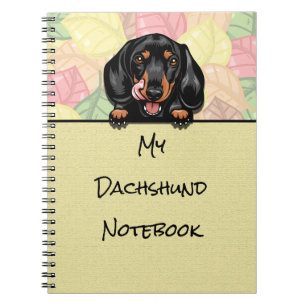 Peeking cute Dachshund notebook