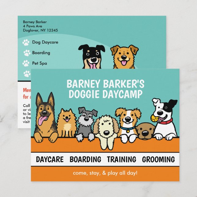 Peeking Dogs Pet Care Cute Business Promotional Postcard (Front/Back)