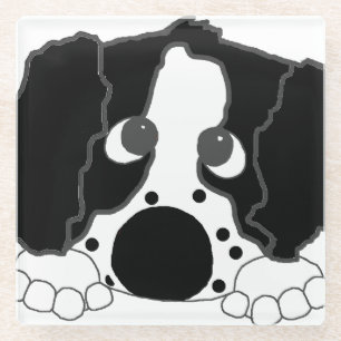 peeking ess black and white glass coaster