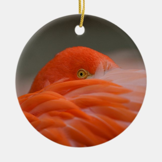 Peeking Flamingo Ceramic Tree Decoration (Front)
