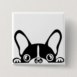 Peeking french bulldog 15 cm square badge