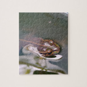 Peeking frog jigsaw puzzle