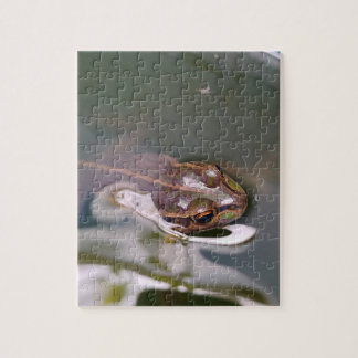 Peeking frog jigsaw puzzle