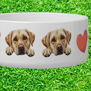 Peeking Golden Labrador Customise theme