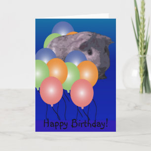 Peeking Guinea pig, Happy Birthday! Card
