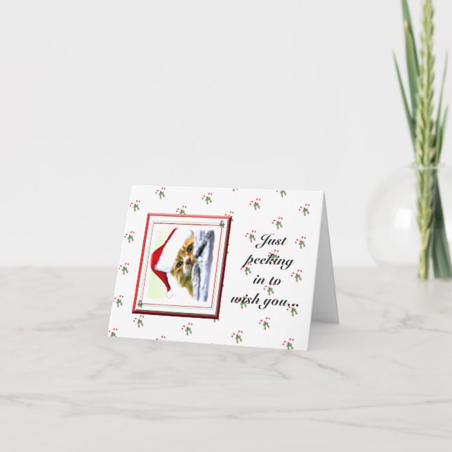 Peeking In Christmas Cat Holiday Card (Front)