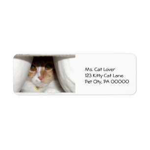 Peeking Kitten Return Address Labels