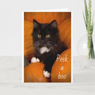 PEEKING OUT TO SAY **HAPPY 2nd BIRTHDAY** to YOU Card