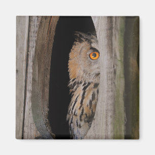 Peeking Owl Lover Refrigerator Magnet