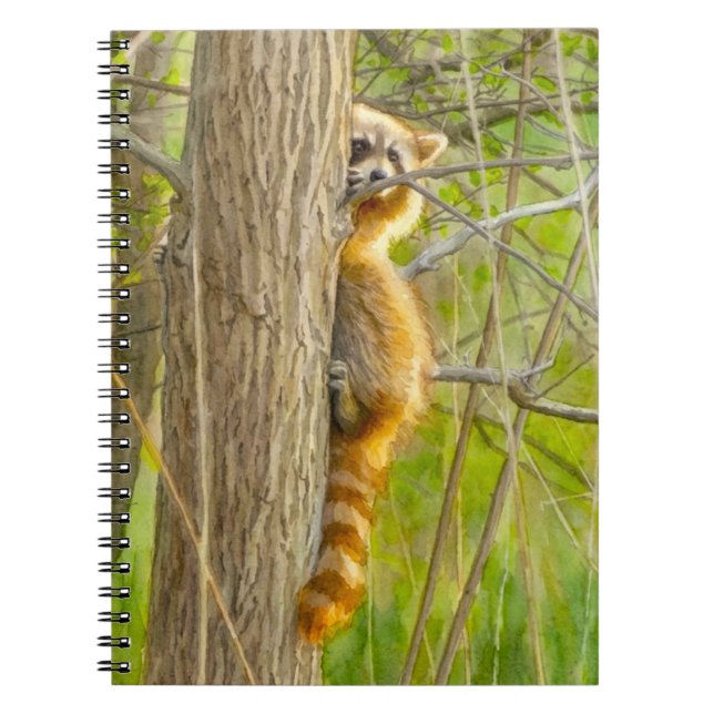 Peeking Racoon Watercolor Artwork Notebook (Front)