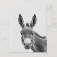 Peeking Sneaky Donkey Cute