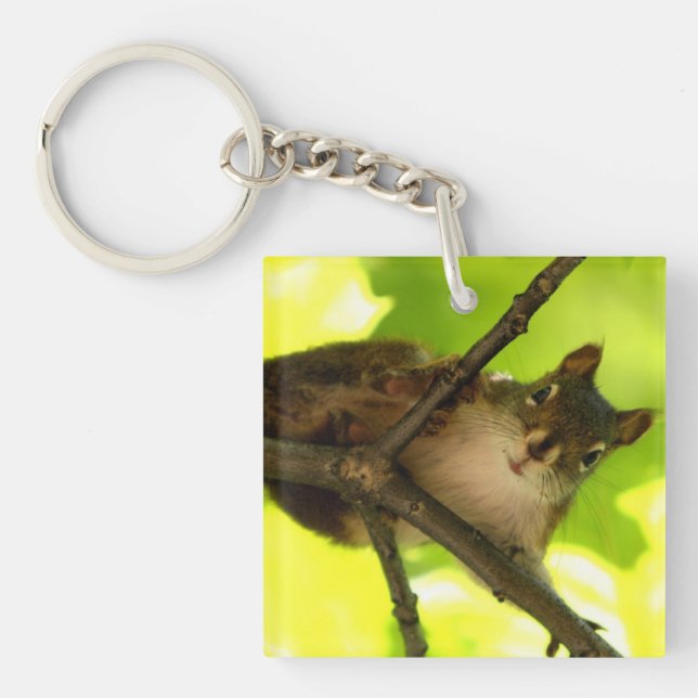 Peeking Squirrel Key Ring (Front)