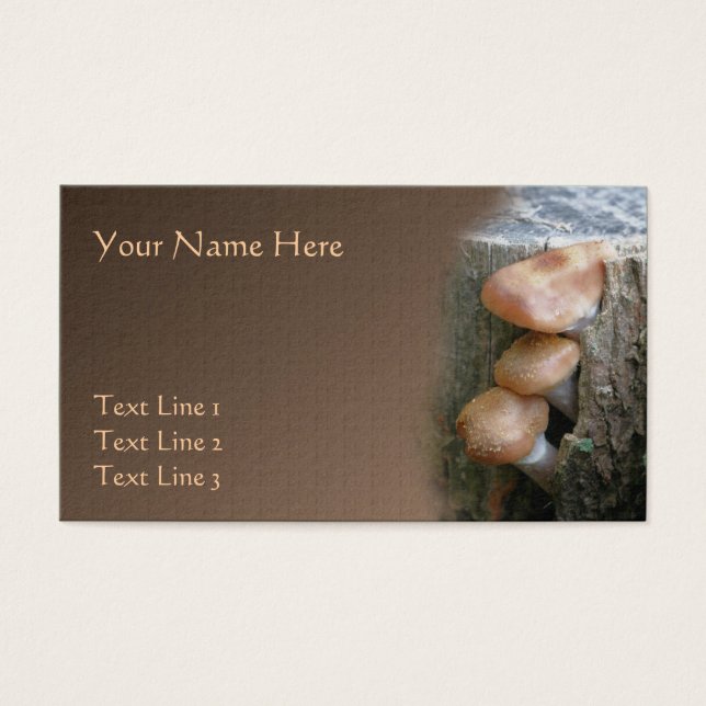 Peeking Wild Brown Mushrooms Nature (Front)