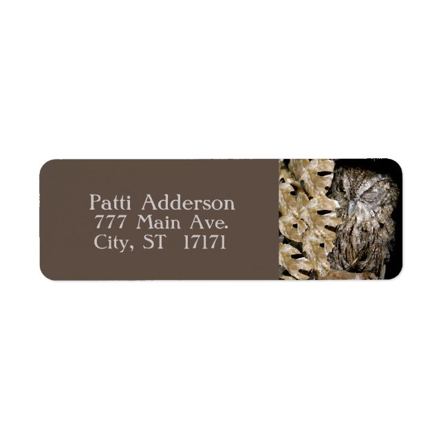 Peeking Winking Owl (Front)