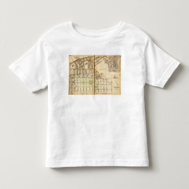 Peekskill, New York 4 Toddler T-Shirt (Front)