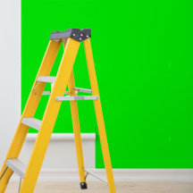 Peel and stick wallpaper lime green 